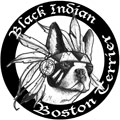 Black Indian Boston Terrier