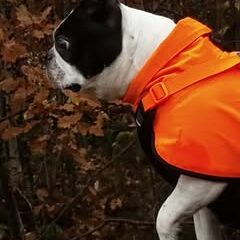 576295358_10229969950016851_6151237113344691435_n