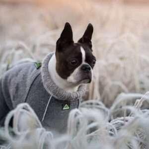 576849049_2272996563126879_4493892931327103833_n